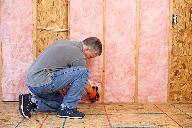 Best Cellulose Insulation in Somerset, MD